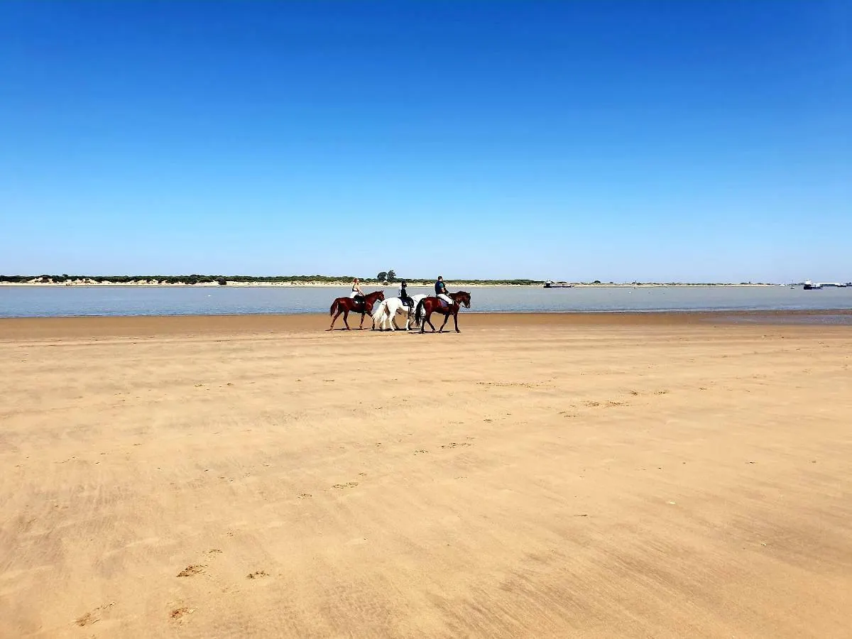 Apartamento Residencial Costa Doñana  Sanlúcar de Barrameda 0*,  España